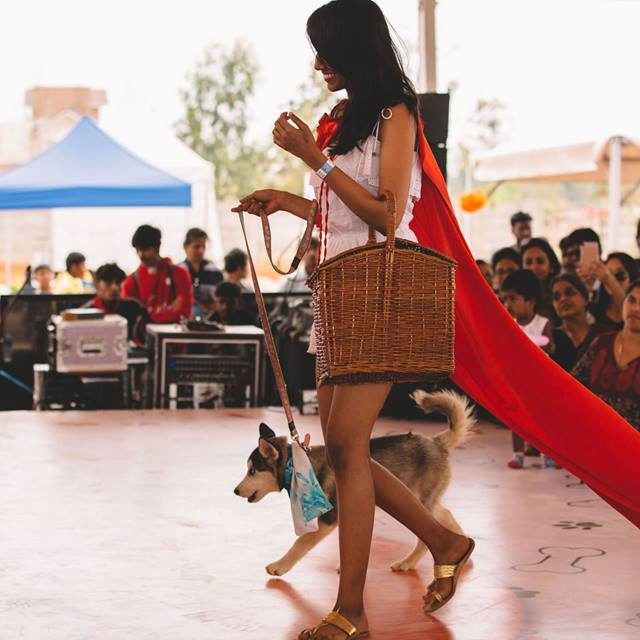 Happy-dog-carnival-2017_2