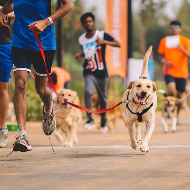 Happy-dog-carnival-2017_4